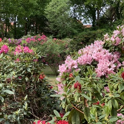 Park